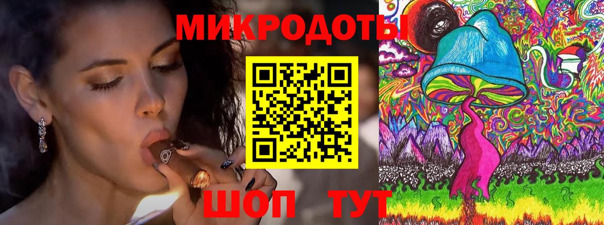 Бошки Шишки Евпатория
